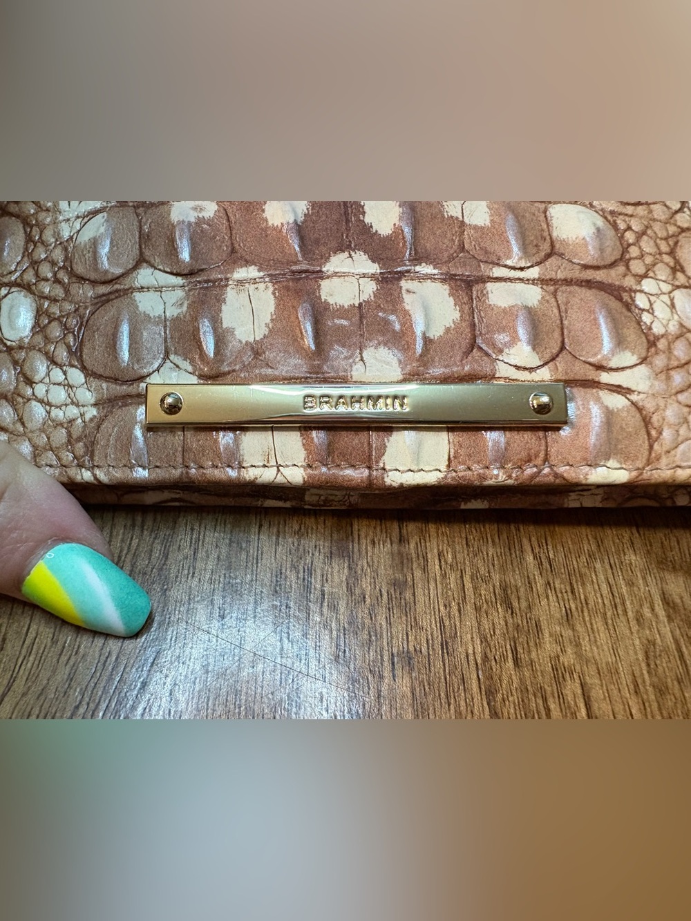 Brahmin EUC Ady - Doe Ombré - VERY HTF, Rare - Satin Finish & Feel - Like New - Picture 15 of 16